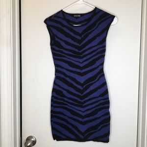 Express sweater dress